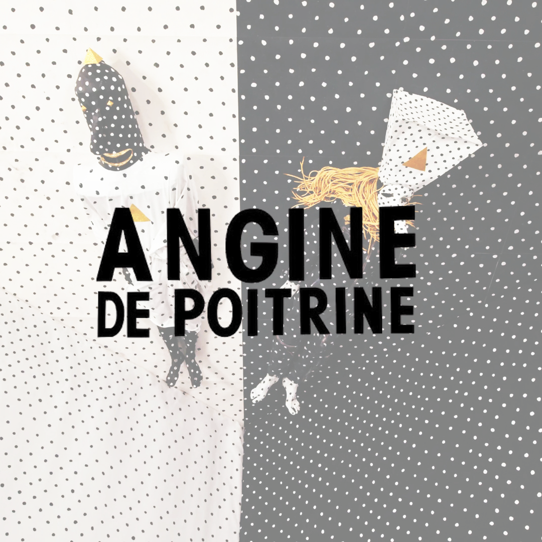 Angine de Poitrine Vinyl Records