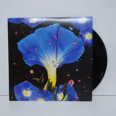 Sarah Louise  - Nighttime Birds And Morning Stars Vinyl LP