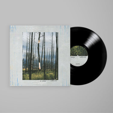 S. Carey - Watercress Vinyl EP