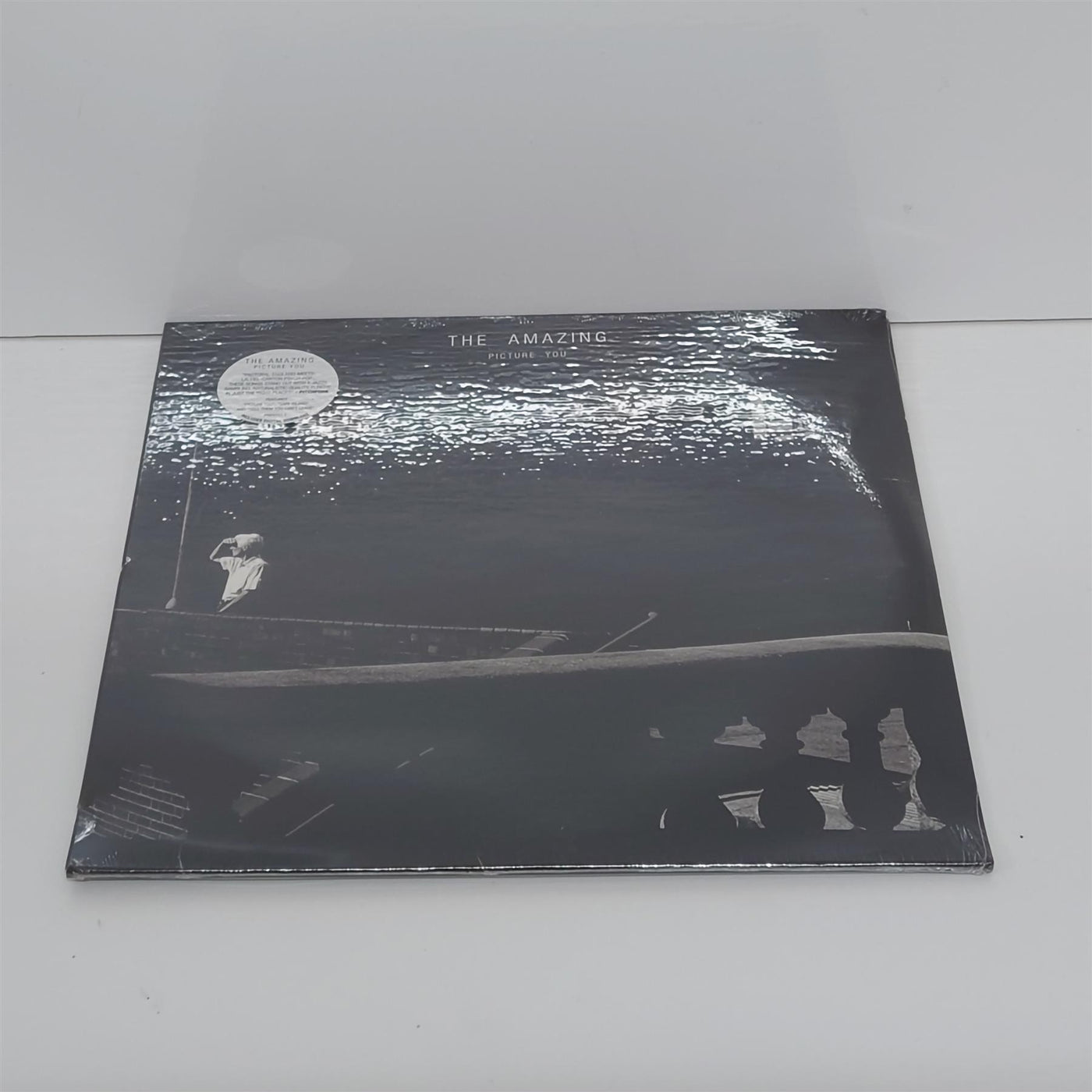 The Amazing - Picture You 2x Vinyl LP