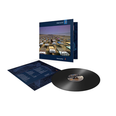 Pink Floyd - A Momentary Lapse of Reason Vinyl LP