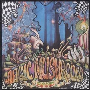 Magic Mushroom Band - Re-Hash CD