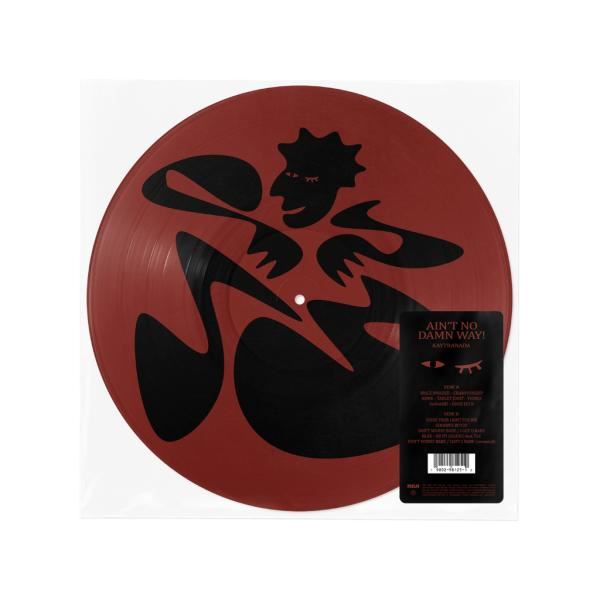 Kaytranada - Ain't No Damn Way! Picture Disc LP