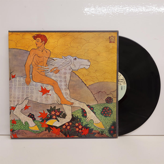 Fleetwood Mac - Then Play On Vinyl LP