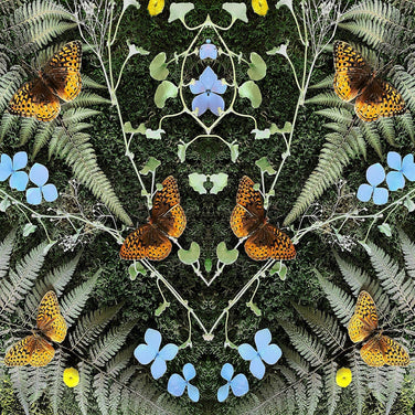 Jean-Michel Blais - aubades Vinyl LP