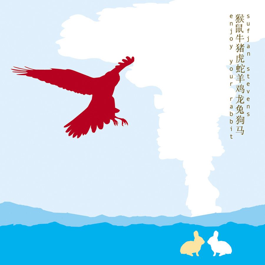 Sufjan Stevens - Enjoy Your Rabbit 2x Vinyl LP