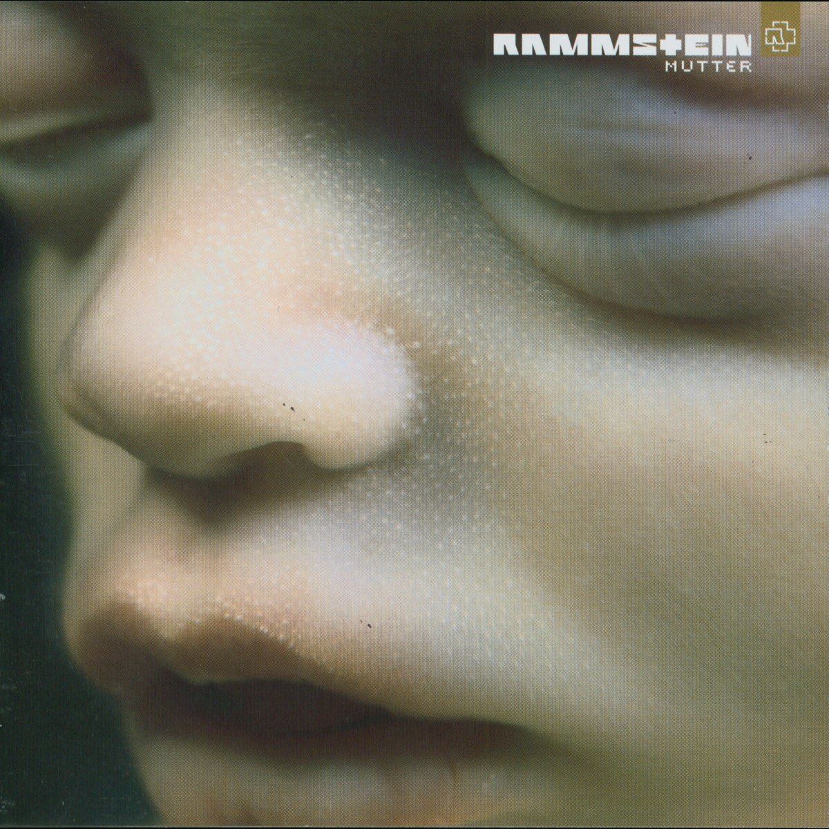 Rammstein - MUTTER 2x 180G Vinyl LP Reissue