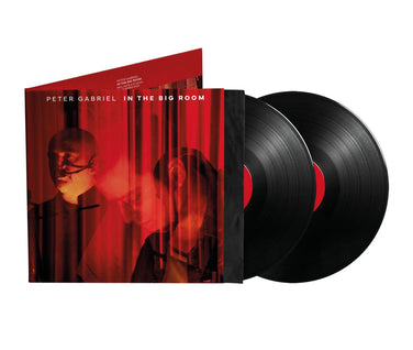 Peter Gabriel  - In The Big Room