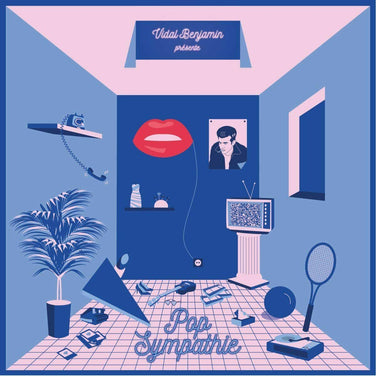 Vidal Benjamin- Pop Sympathie 2X Vinyl LP