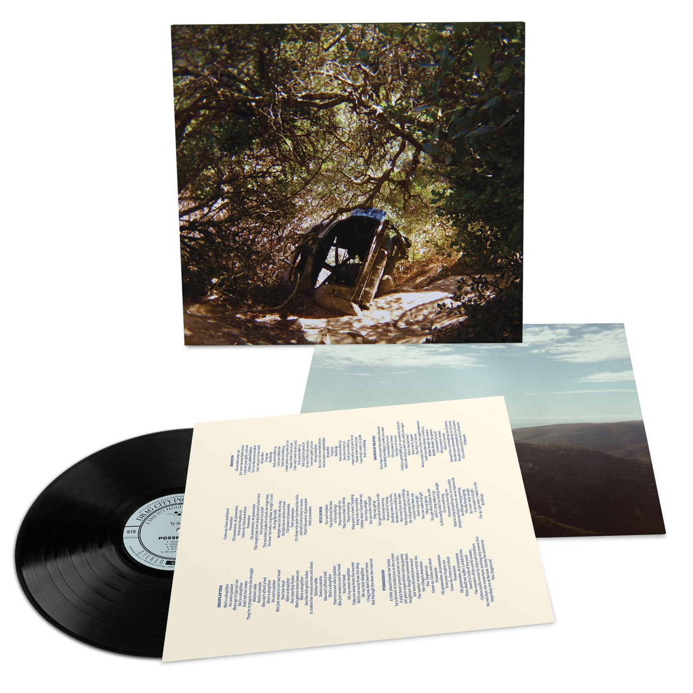 Ty Segall - Possession Vinyl LP