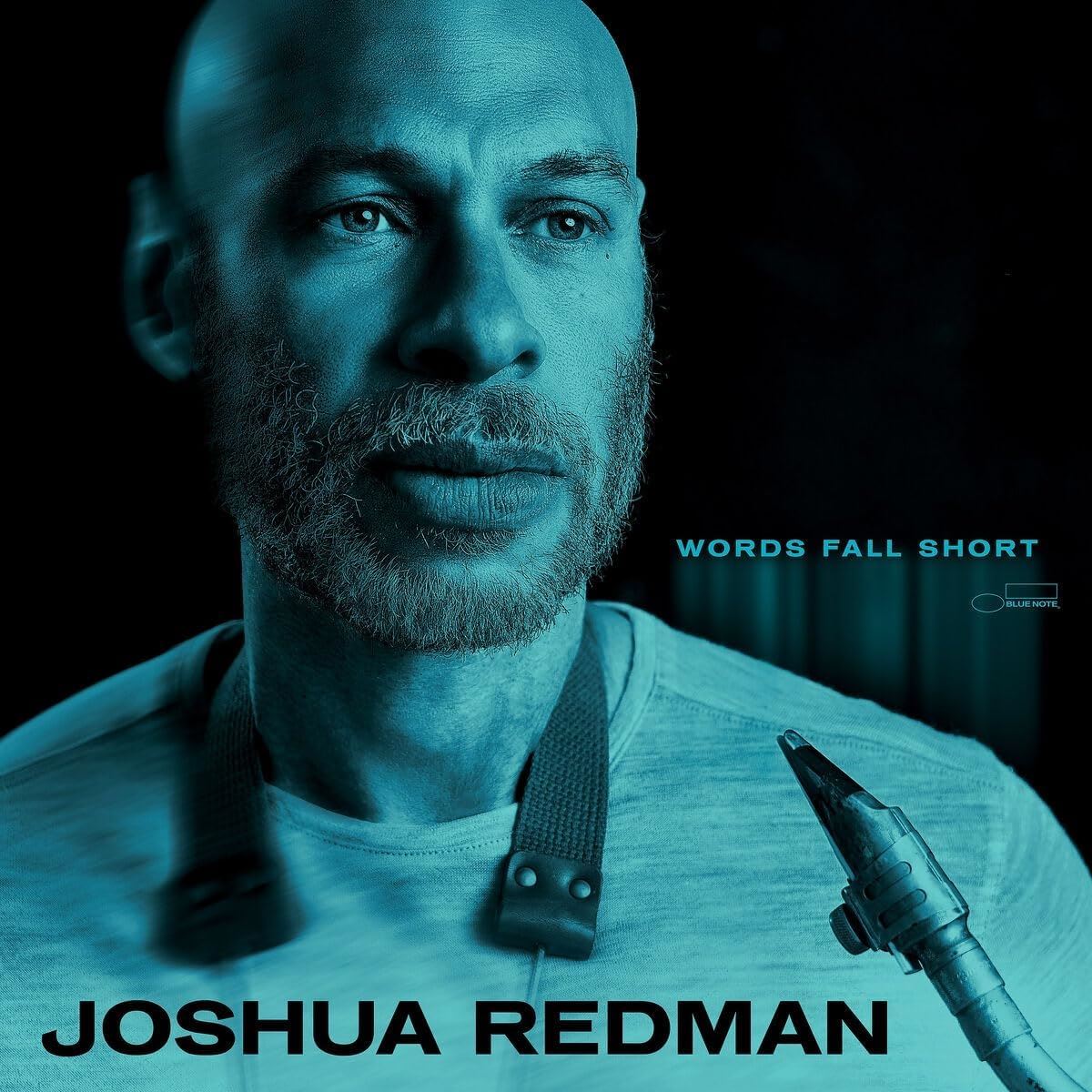 Joshua Redman - Words Fall Short Vinyl LP