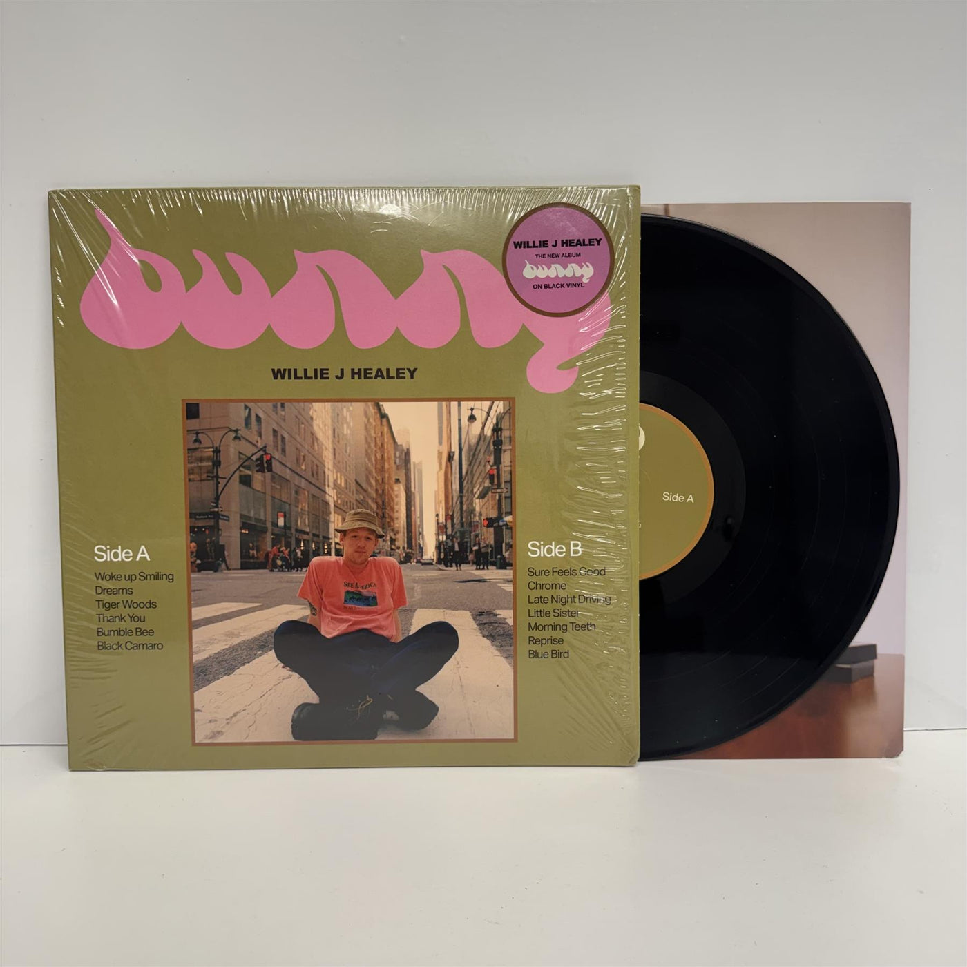 Willie J Healey - Bunny Vinyl LP