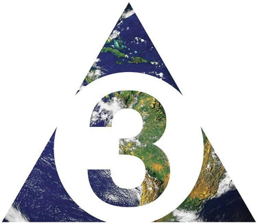 The Brian Jonestown Massacre - Third World Pyramid Vinyl LP Reissue