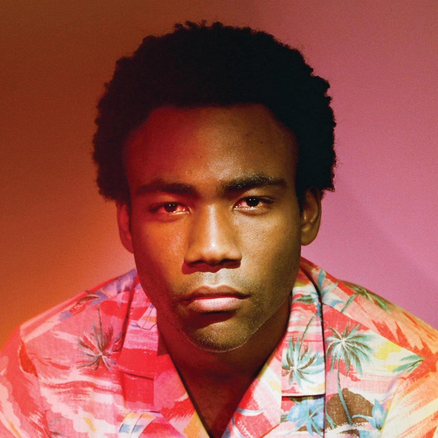 Childish Gambino - Because The Internet 2x Vinyl LP Reissue