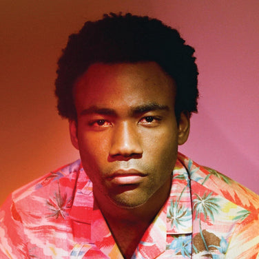 Childish Gambino - Because The Internet 2x Vinyl LP Reissue