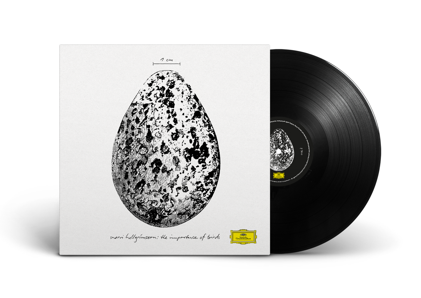 Snorri Hallgrímsson - The Importance Of Birds Vinyl LP