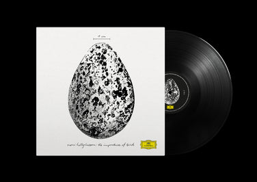 Snorri Hallgrímsson - The Importance Of Birds Vinyl LP