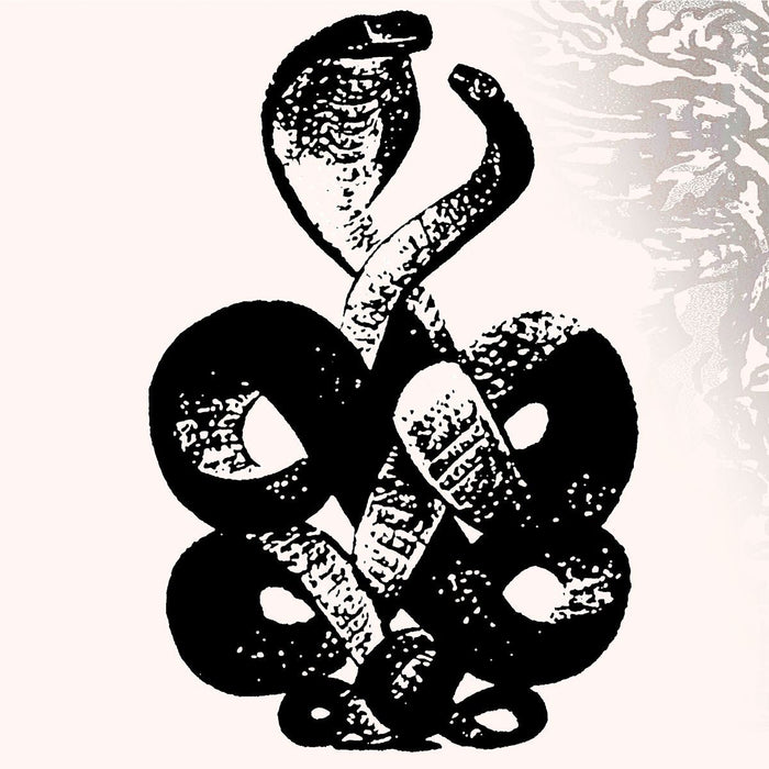 Bardo Pond - Volume 4 & 5 2x Vinyl LP