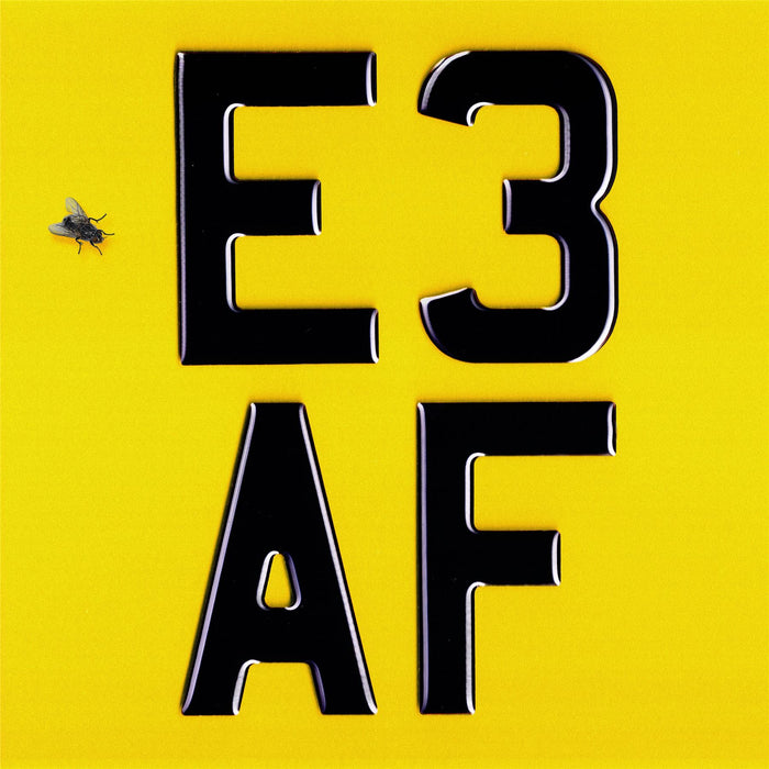 Dizzee Rascal - E3 AF Vinyl LP