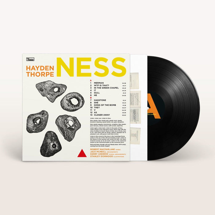 Hayden Thorpe - Ness Biovinyl LP