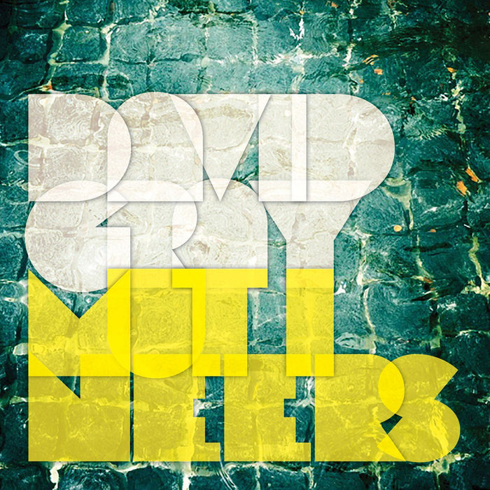 David Gray - Mutineers 2x 180G Vinyl LP