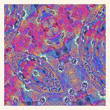 Carlos Niño & Friends - Placenta