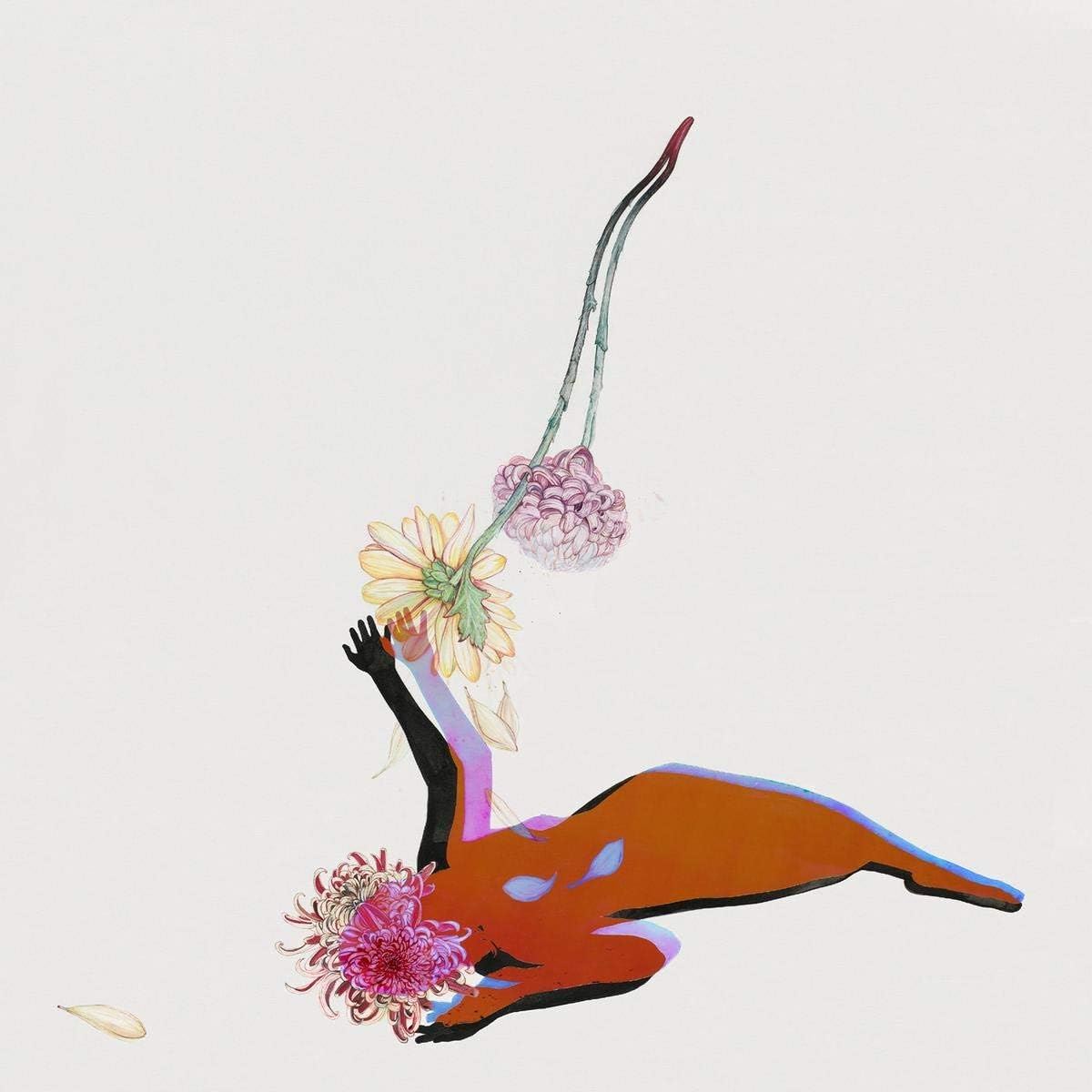 Future Islands - The Far Field  Vinyl LP