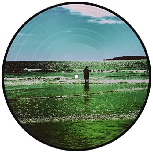 Manic Street Preachers - The Ultra Vivid Lament Picture Disc Vinyl LP