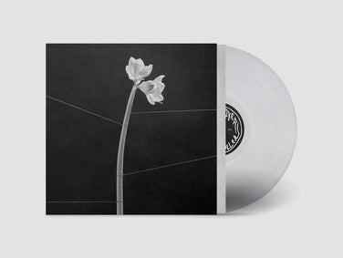 TRENTEMØLLER - DREAMWEAVER Crystal Clear Vinyl LP