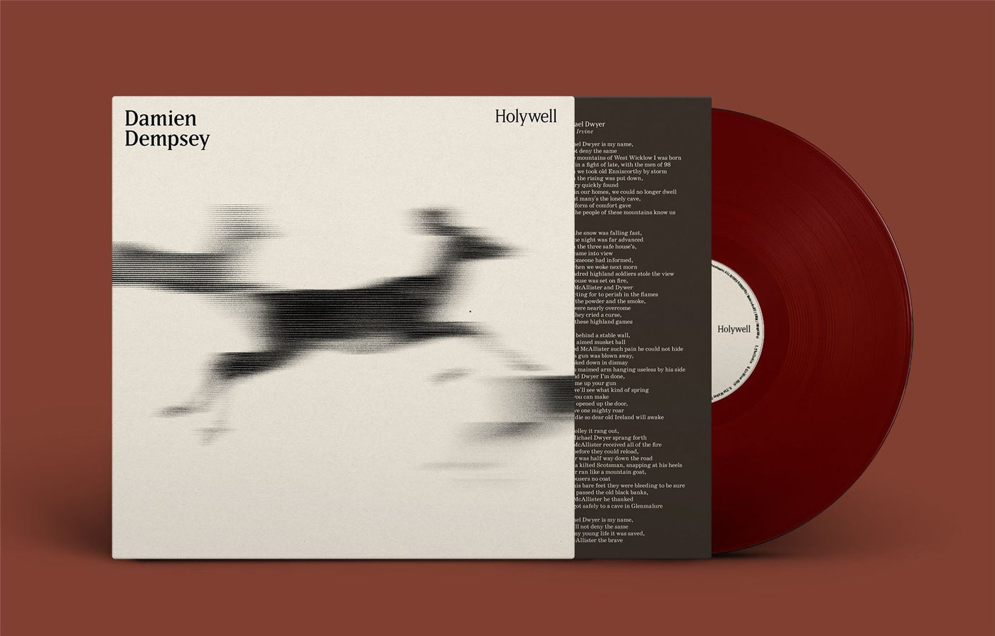 Damien Dempsey - Holywell