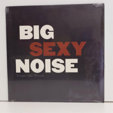 Big Sexy Noise - Trust The Witch Vinyl LP