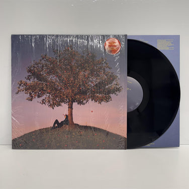 slowthai - TYRON Vinyl LP