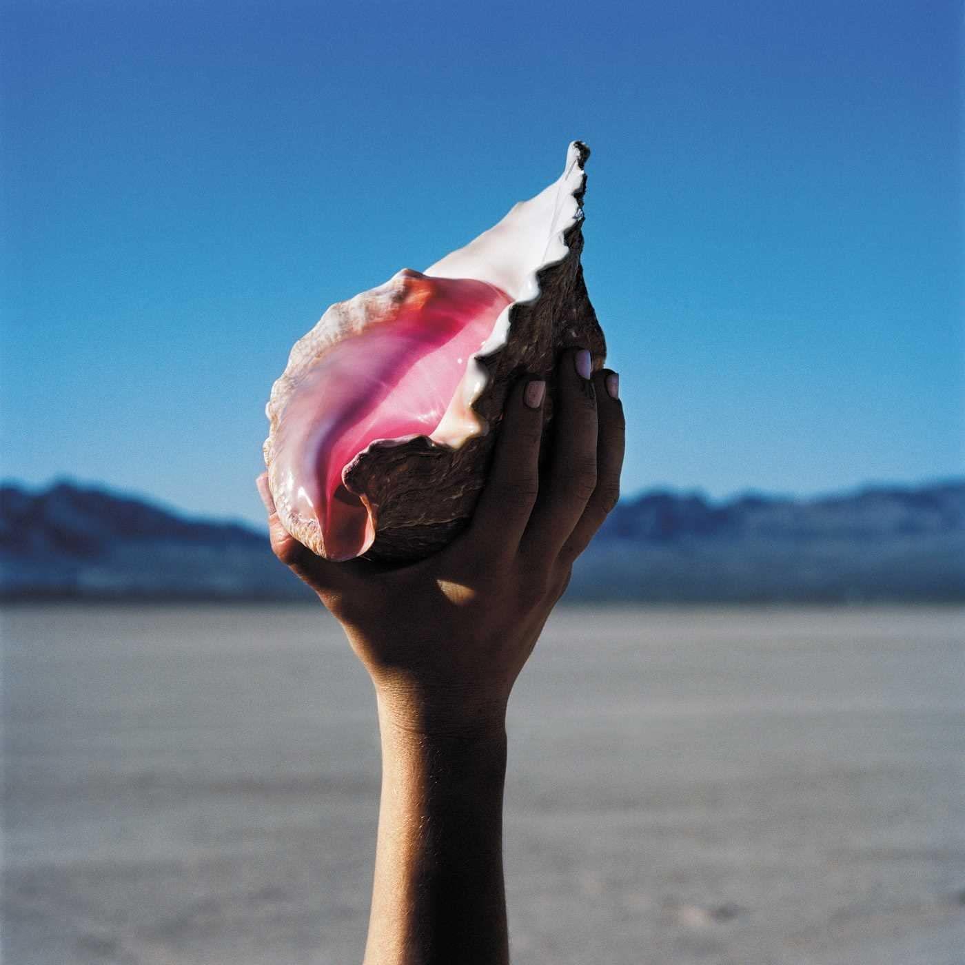 The Killers - Wonderful Wonderful Vinyl LP