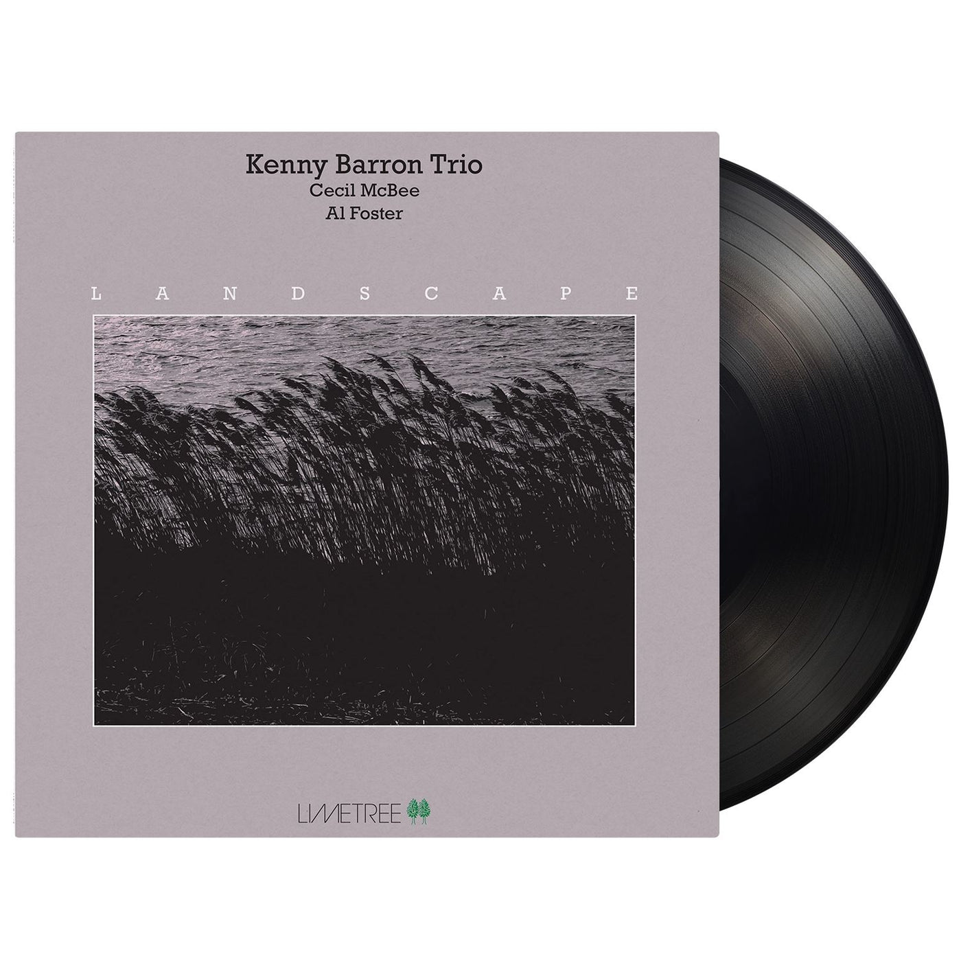 Kenny Barron Trio - Landscape 180G Vinyl LP Reissue