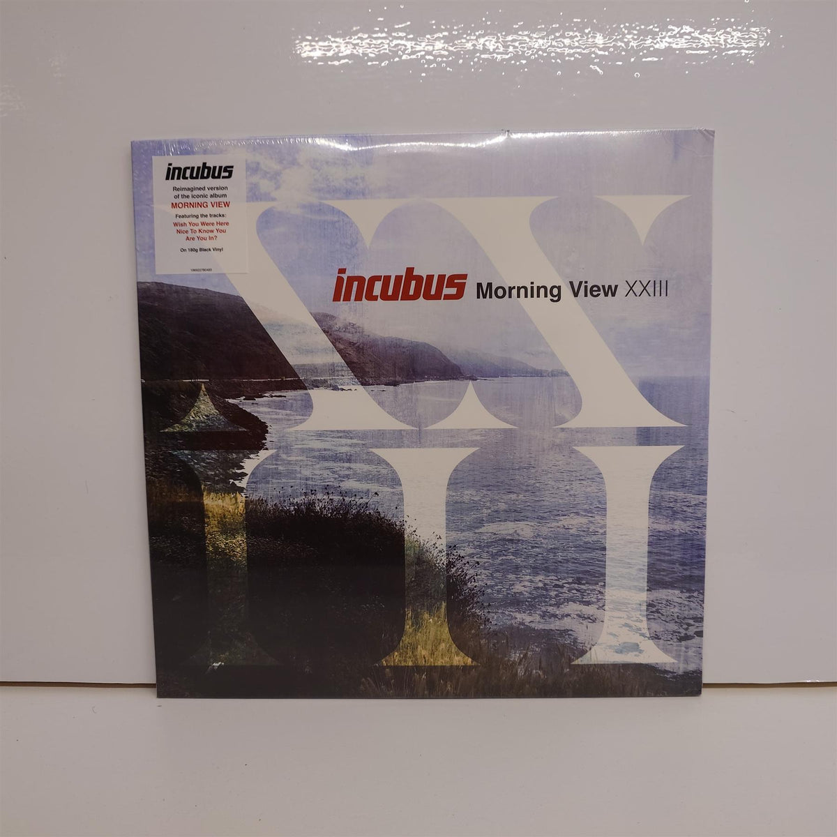 Incubus - Morning View XXIII 2x 180G Vinyl LP