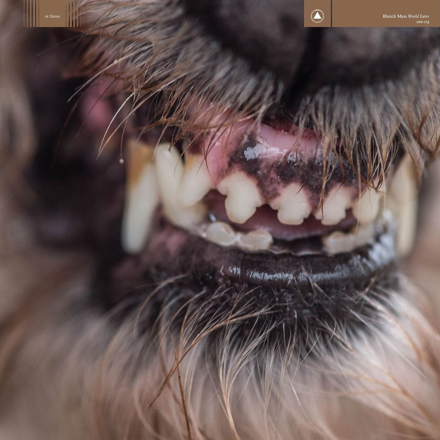 Blanck Mass - World Eater CD