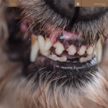 Blanck Mass - World Eater CD