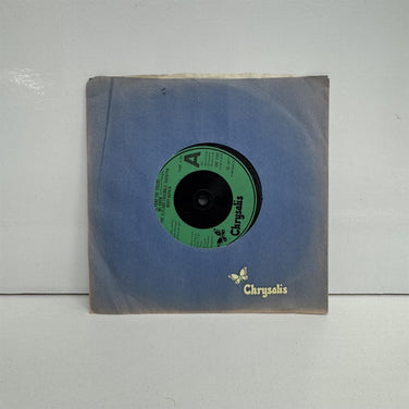 The Elfland Ensemble Featuring Mary Hopkin - Beyond The Fields We Know 7" Vinyl Single