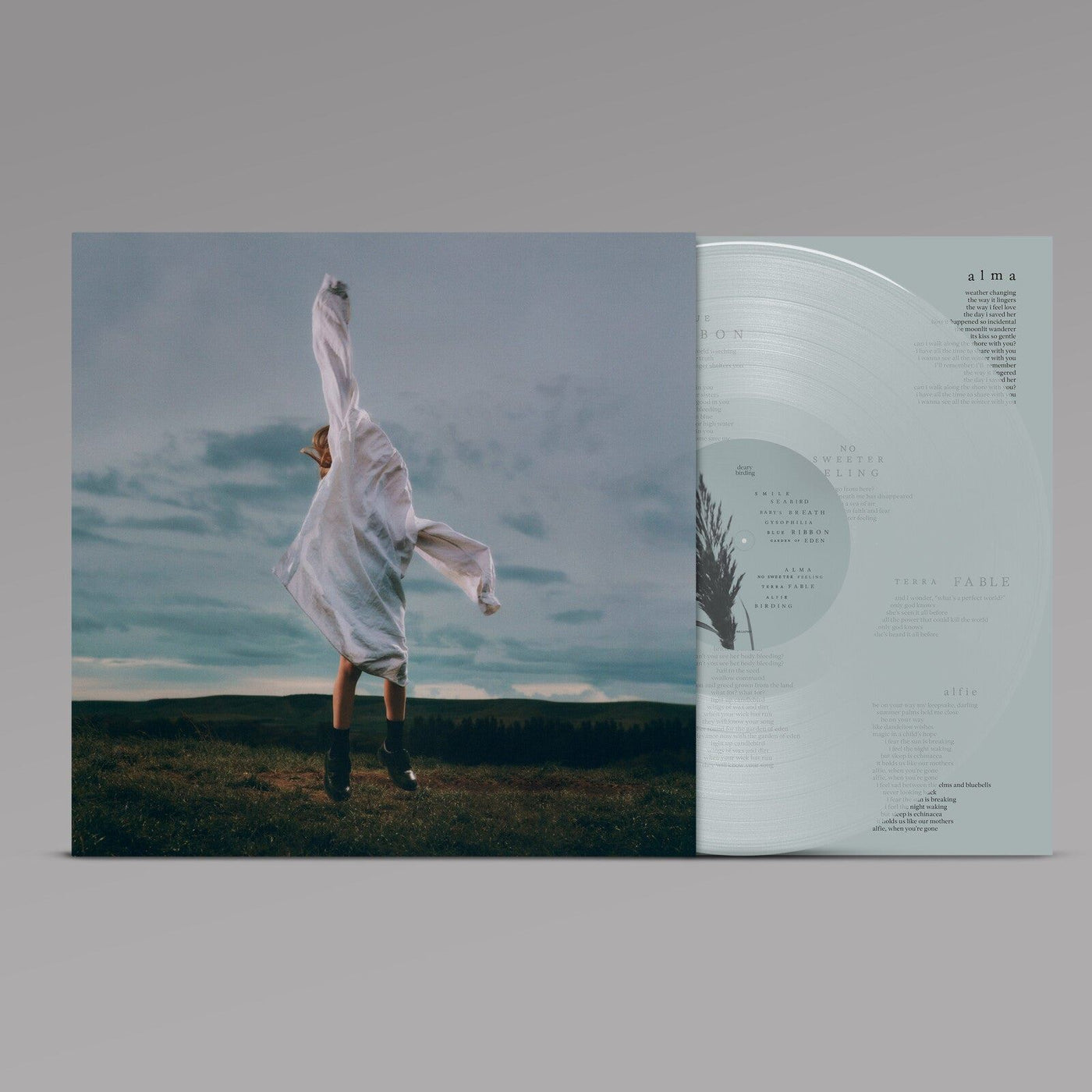 deary - Birding Transparent Pale Blue Vinyl LP