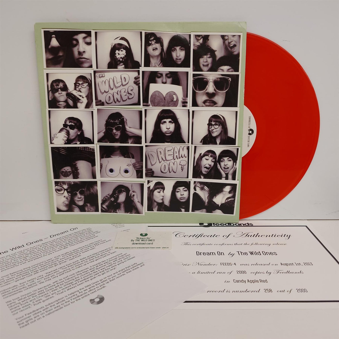 The Wild Ones - Dream On Translucent Candy Apple Red Vinyl LP