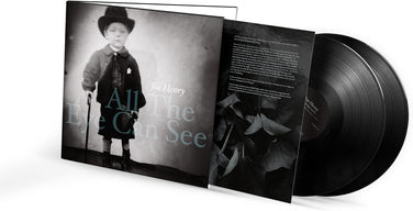 Joe Henry - All The Eye Can See 2x Vinyl LP