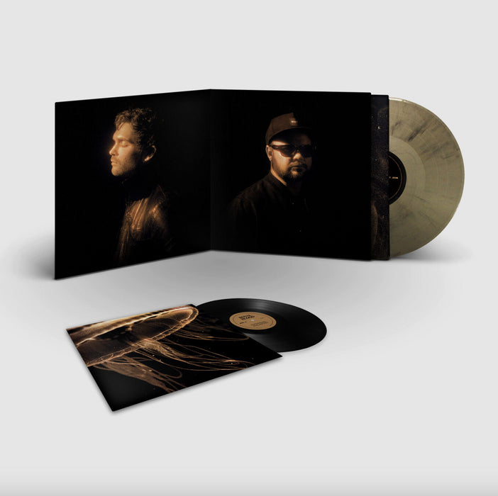 Royal Blood - Back To The Water Below (Deluxe) Gold/Black Vinyl LP + 7"