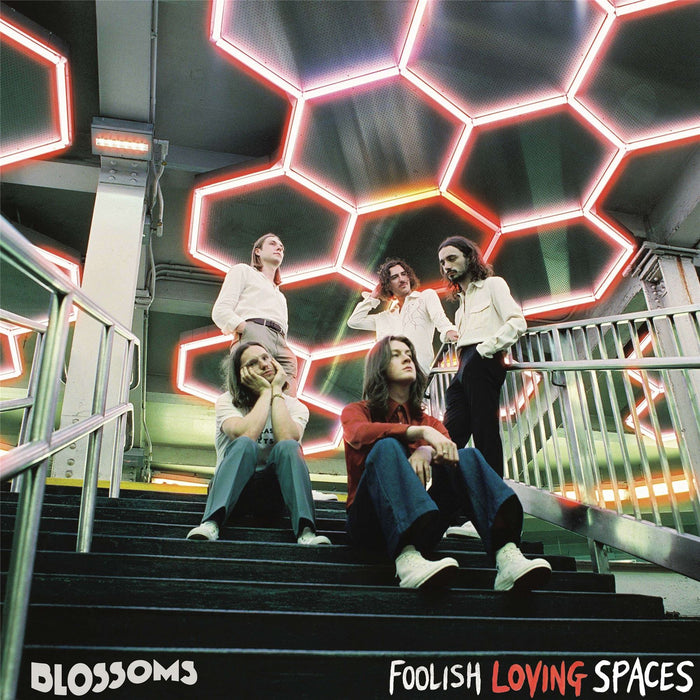 Blossoms - Foolish Loving Spaces Vinyl LP