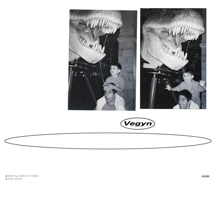 Vegyn - Only Diamonds Cut Diamonds 5 Year Anniversary 2x 180G Vinyl LP Repress