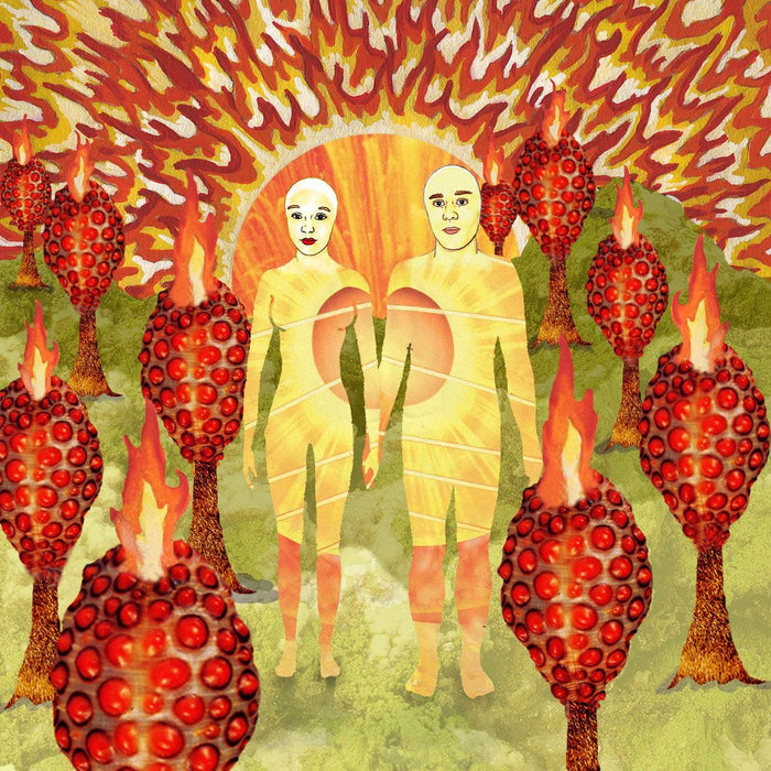 Of Montreal - The Sunlandic Twins 2x Red & Orange Swirl Vinyl LP Reissue