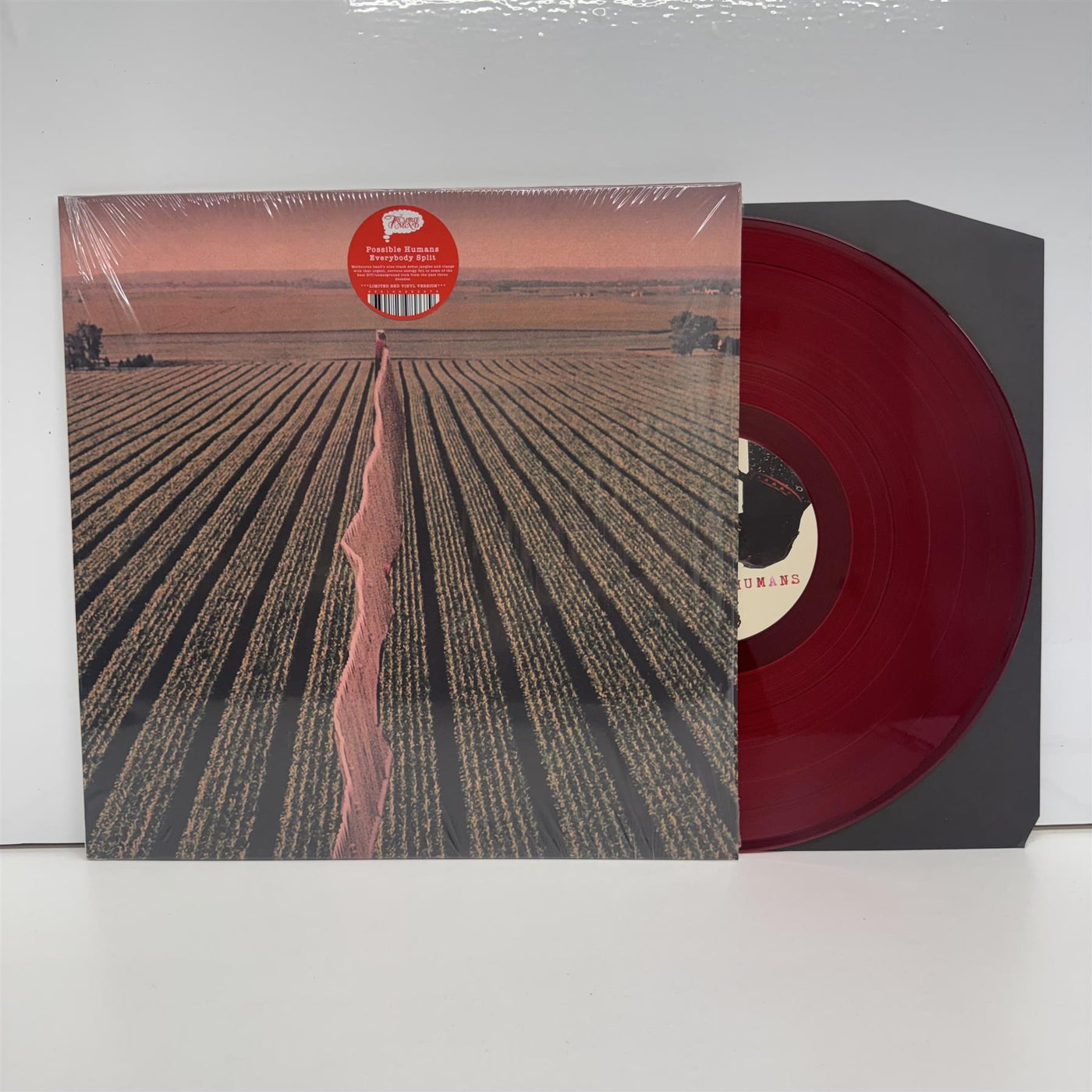 Possible Humans - Everybody Split Limited Red Vinyl LP