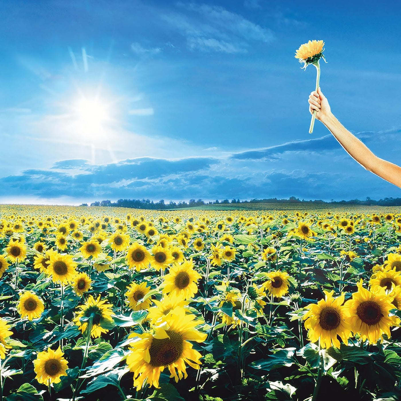 Stone Temple Pilots - Thank You  2x Vinyl LP