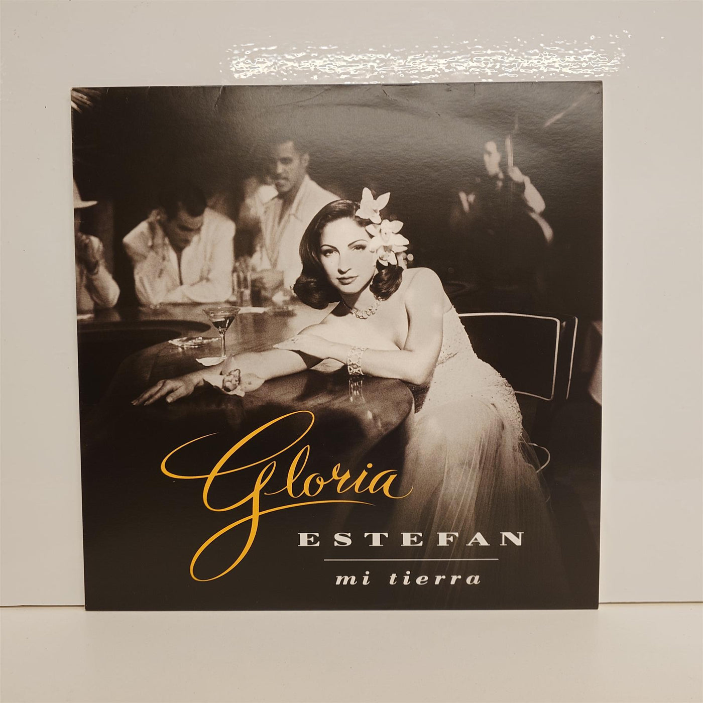 Gloria Estefan - Mi Tierra 180G Vinyl LP Reissue