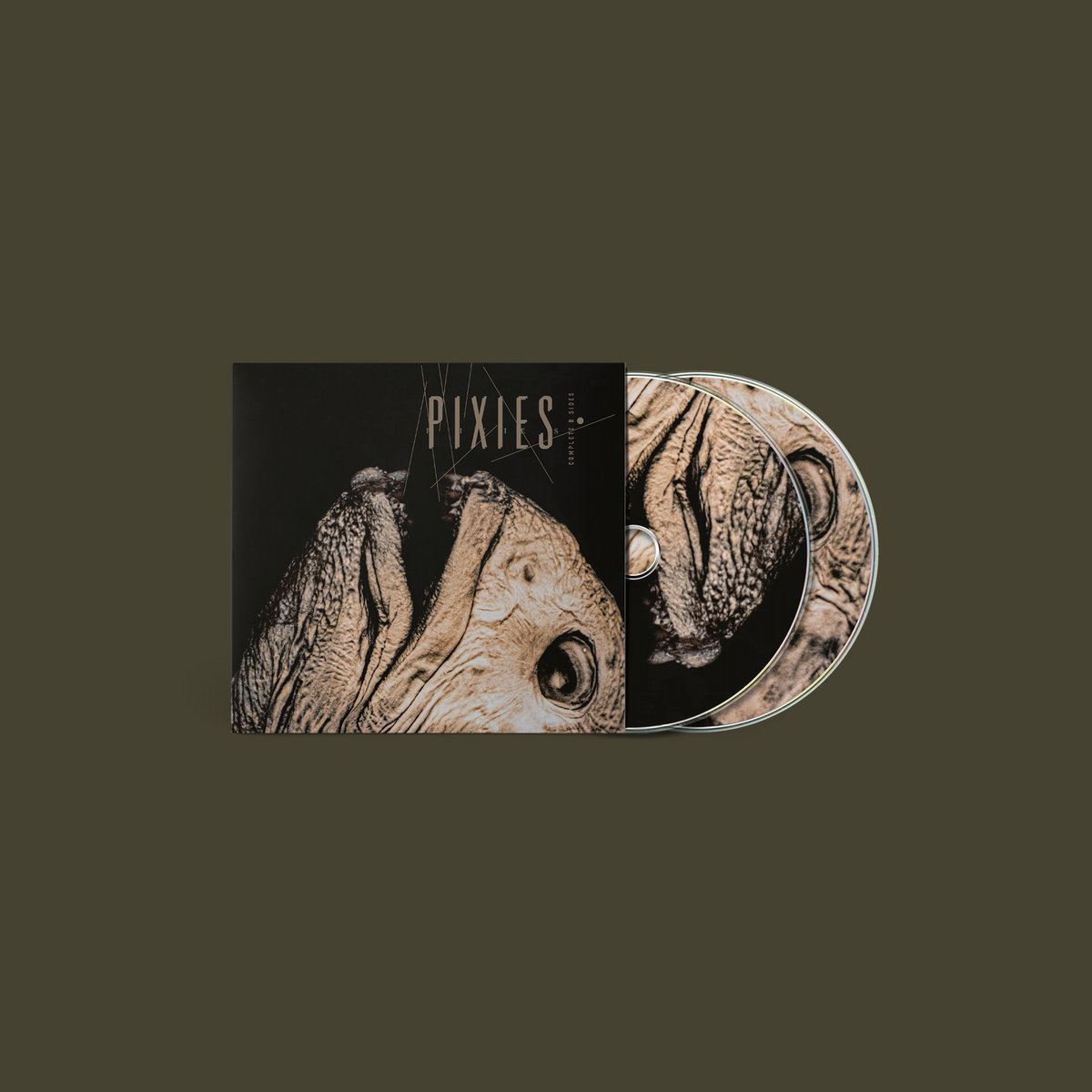 Pixies - Complete B Sides: 1988-97 (Remastered) Vinyl LP | Dig In