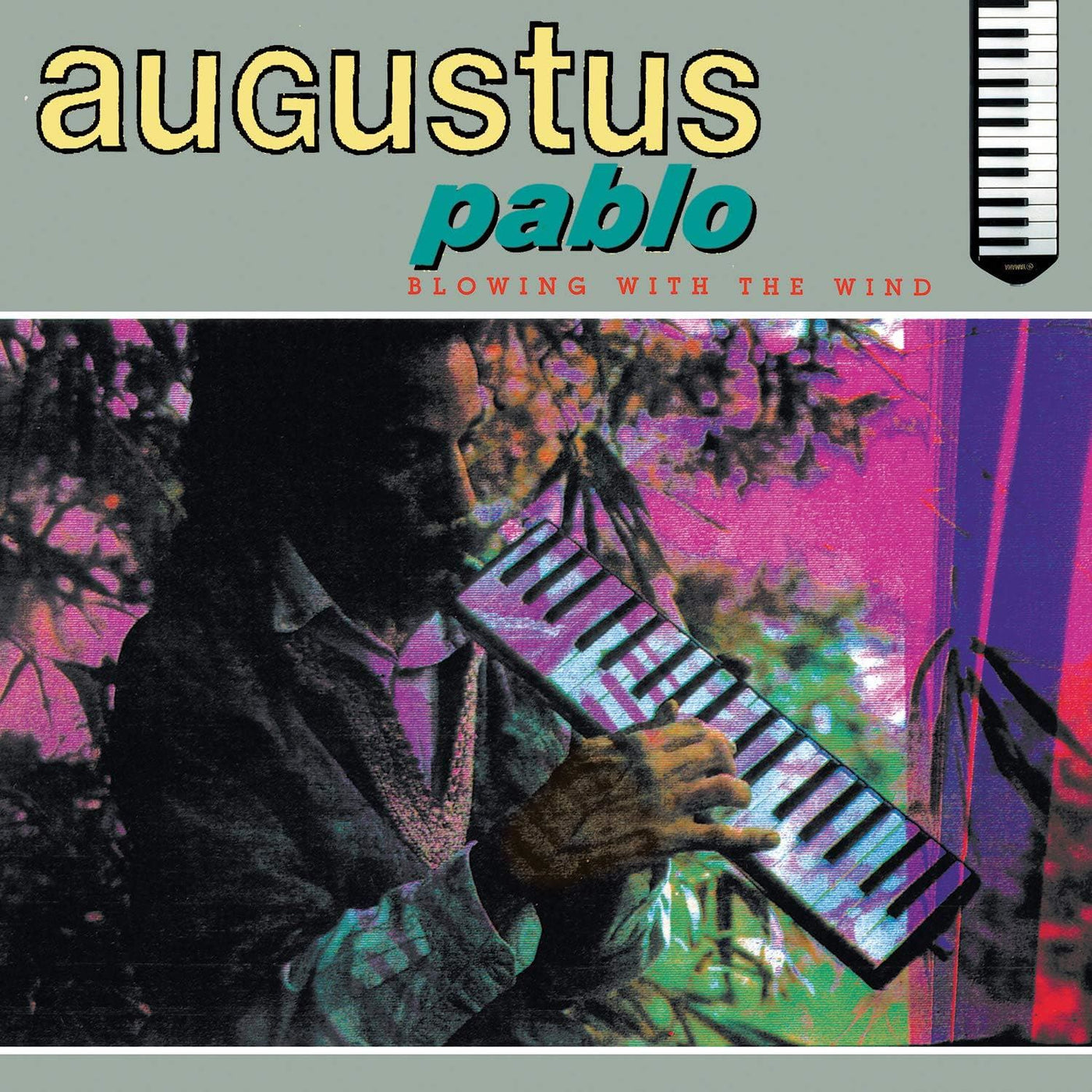 Augustus Pablo - Blowing With The Wind Vinyl LP Reissue